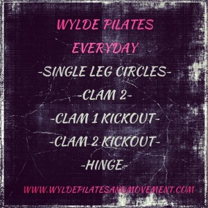 Wylde Pilates Everyday #8