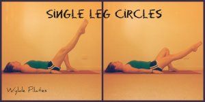 Single Leg Circles: warm up t-zone, abs, hip flexors and adductors